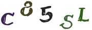 Enter the Captcha code from the image