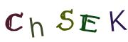 Enter the Captcha code from the image