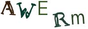 Recopier le code Captcha de l'image