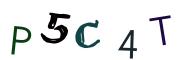 Recopier le code Captcha de l'image